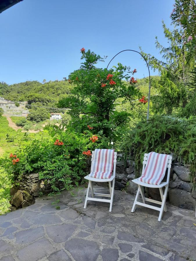 Ca Gialla De Drignana เวอนาซซา ภายนอก รูปภาพ