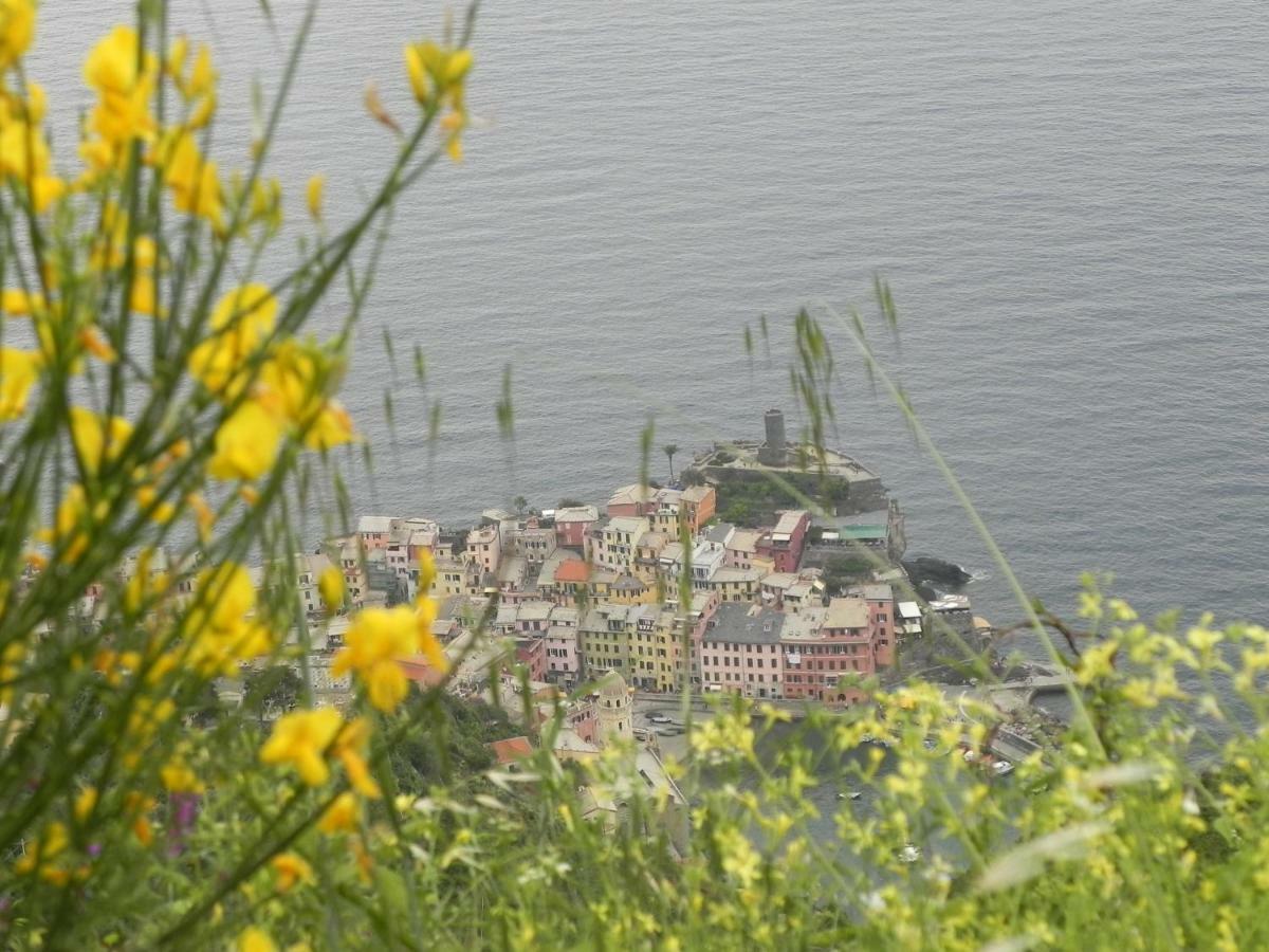 Ca Gialla De Drignana เวอนาซซา ภายนอก รูปภาพ