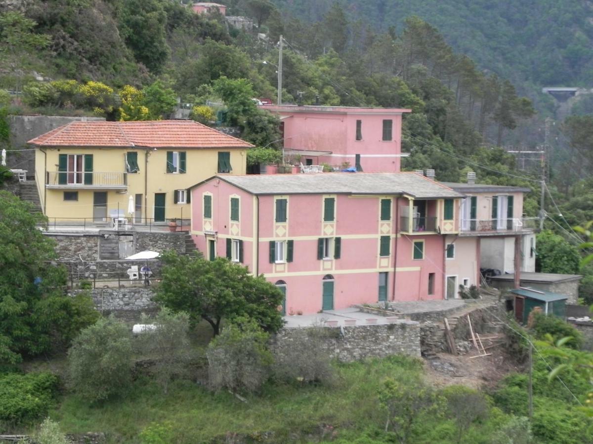 Ca Gialla De Drignana เวอนาซซา ภายนอก รูปภาพ
