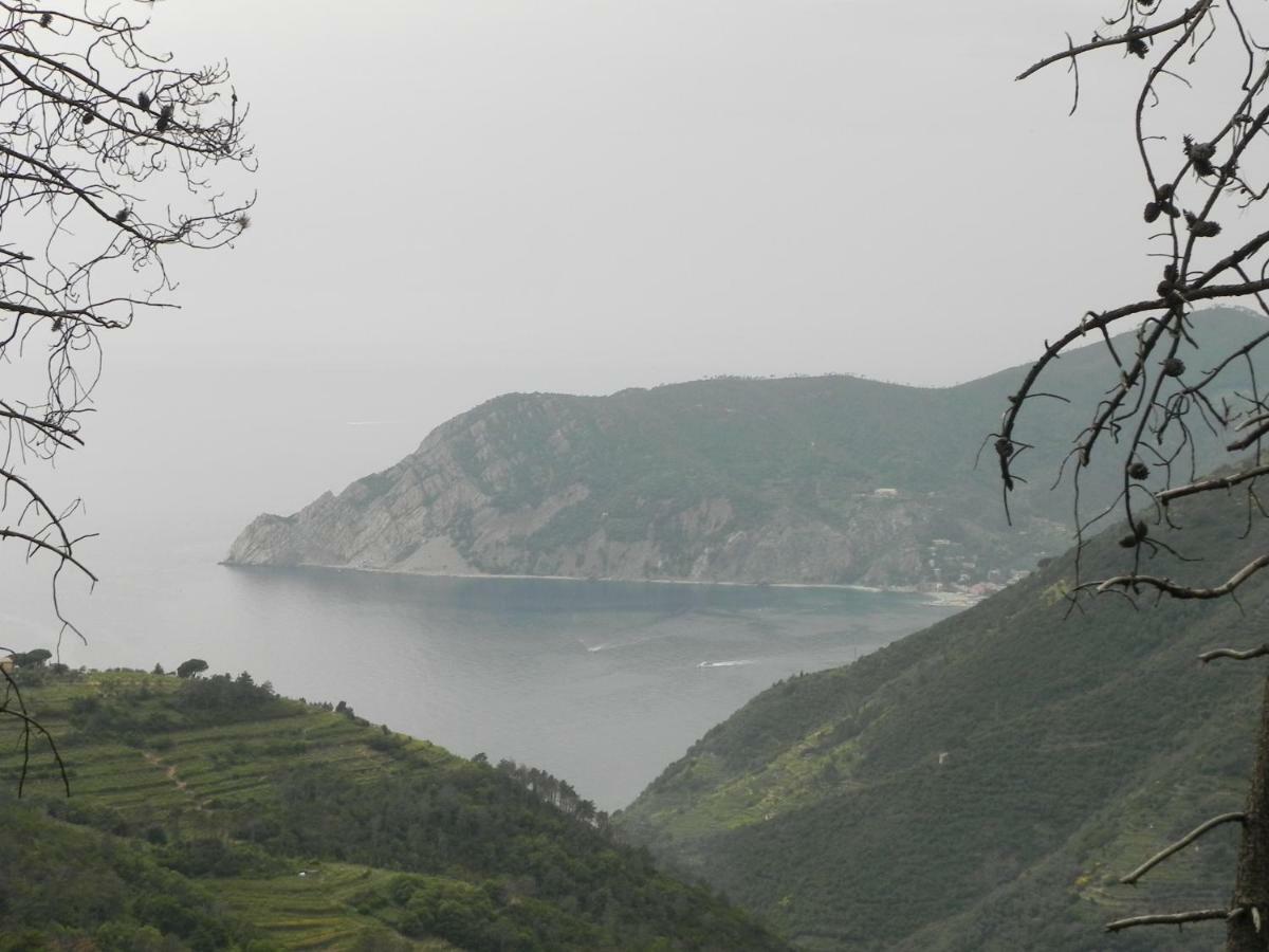 Ca Gialla De Drignana เวอนาซซา ภายนอก รูปภาพ